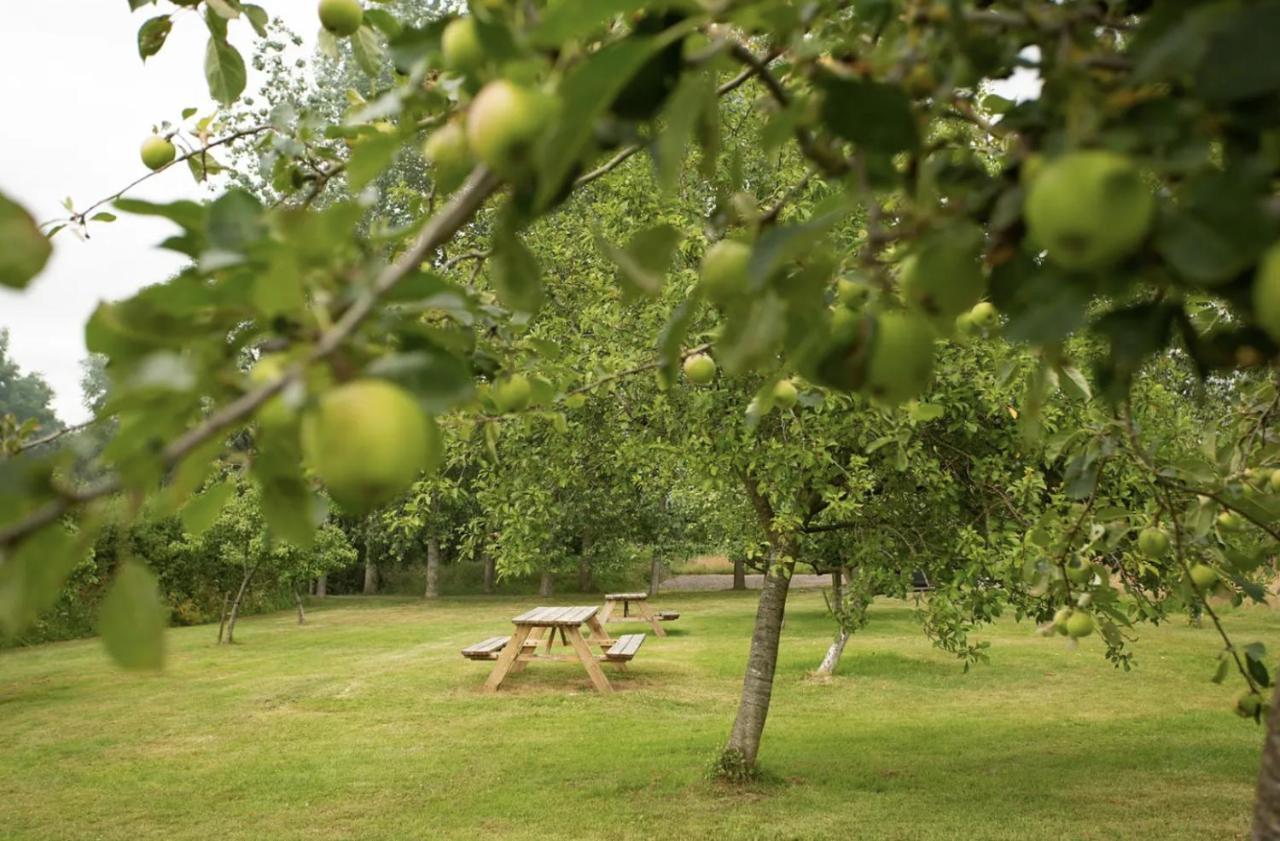 Tall Trees Glamping Baltonsborough ภายนอก รูปภาพ