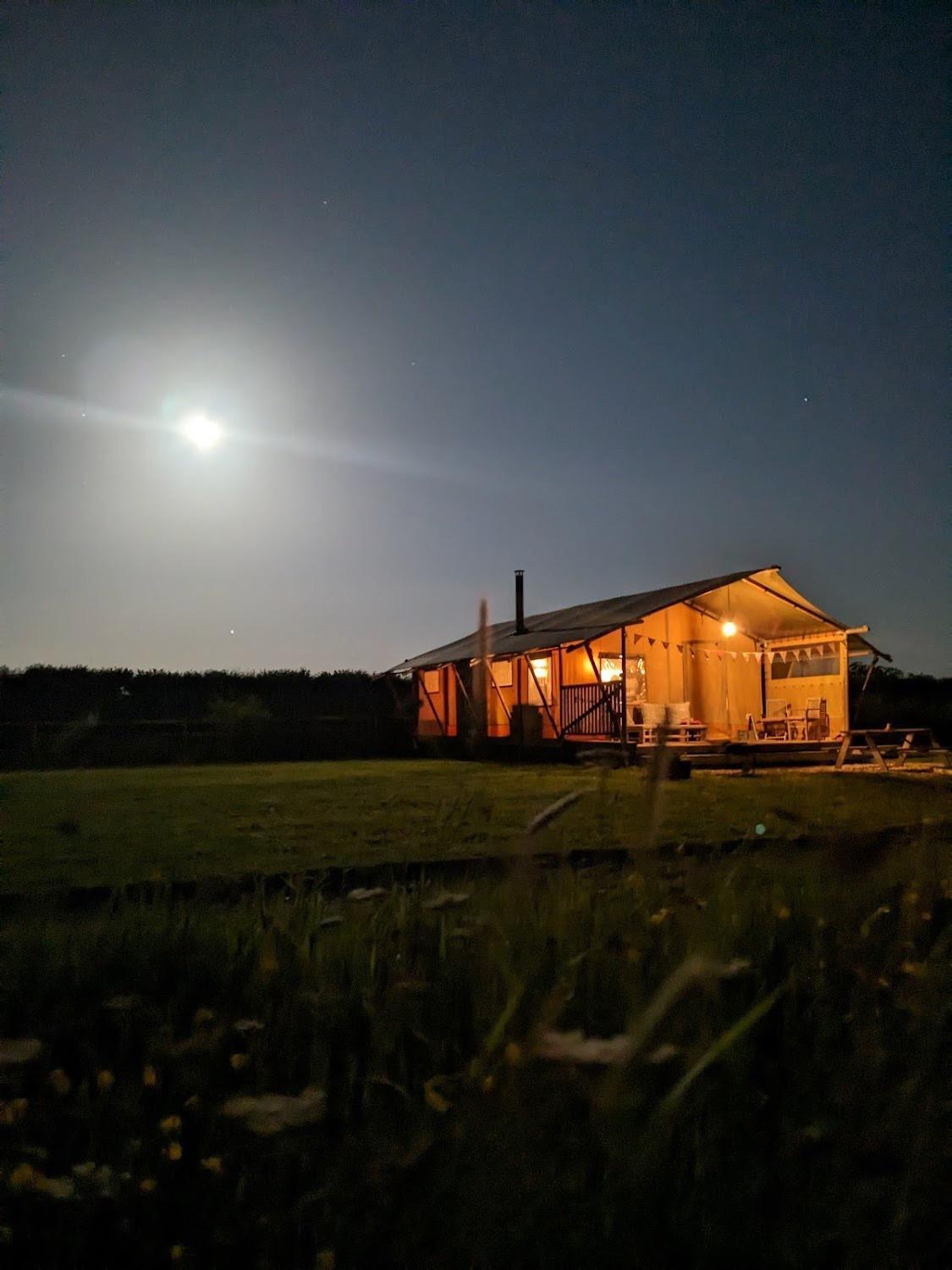 Tall Trees Glamping Baltonsborough ภายนอก รูปภาพ