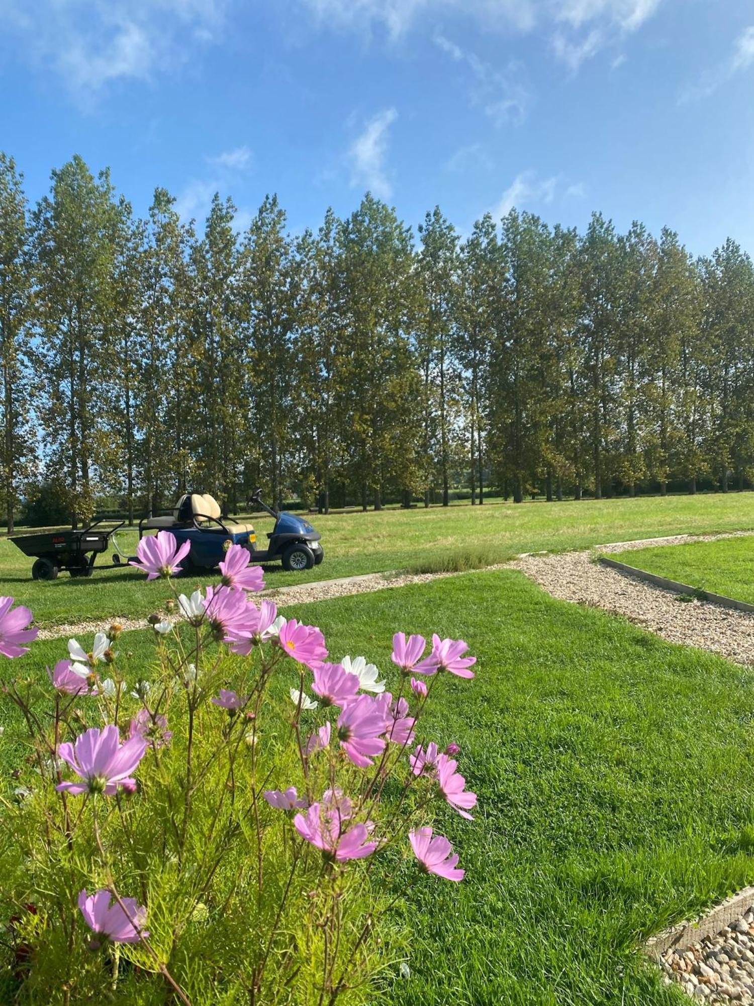 Tall Trees Glamping Baltonsborough ภายนอก รูปภาพ