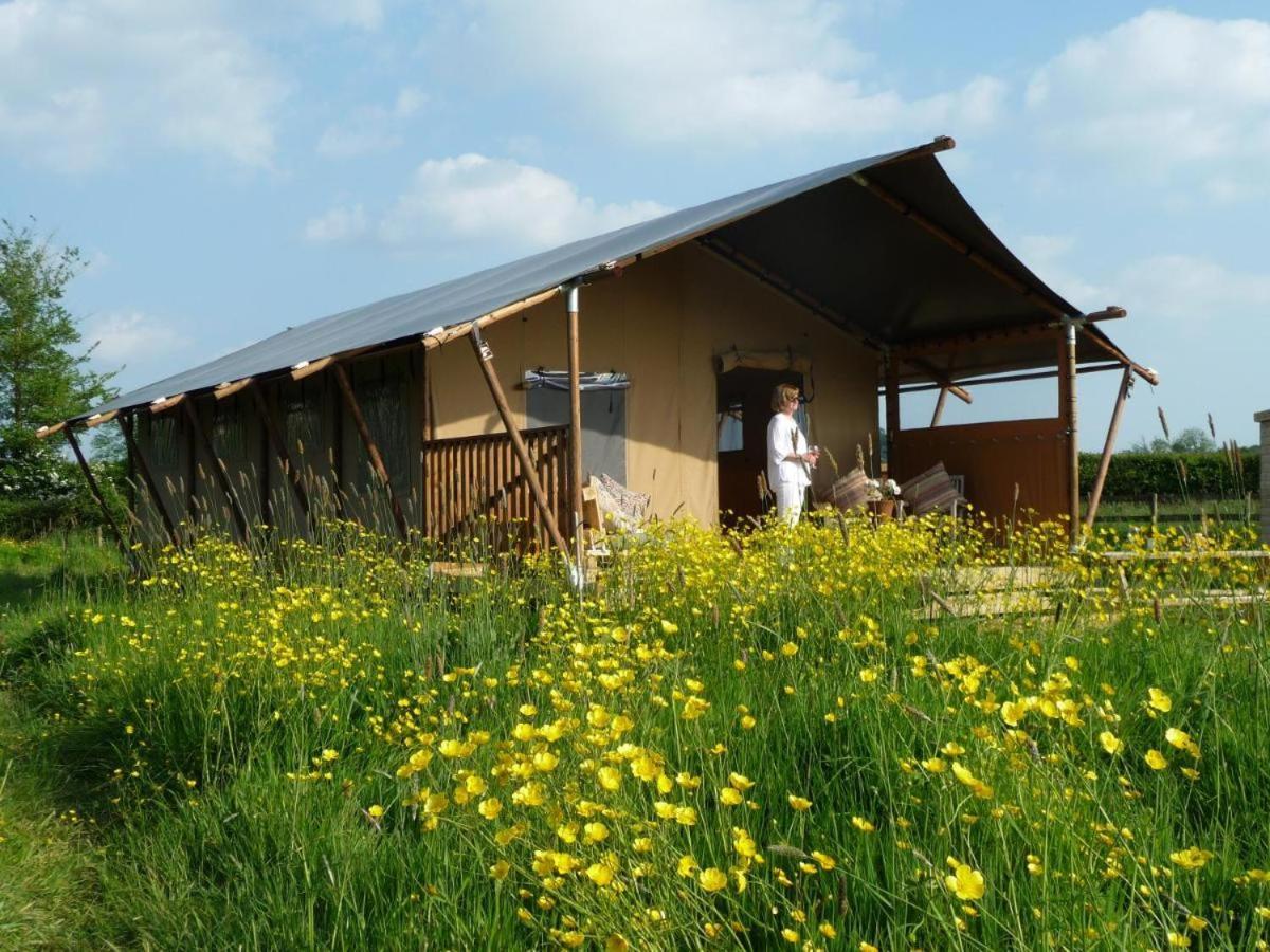 Tall Trees Glamping Baltonsborough ภายนอก รูปภาพ